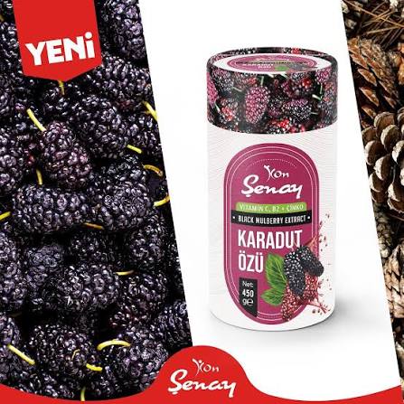 KARADUT ÖZÜ KUTULU 450 gr